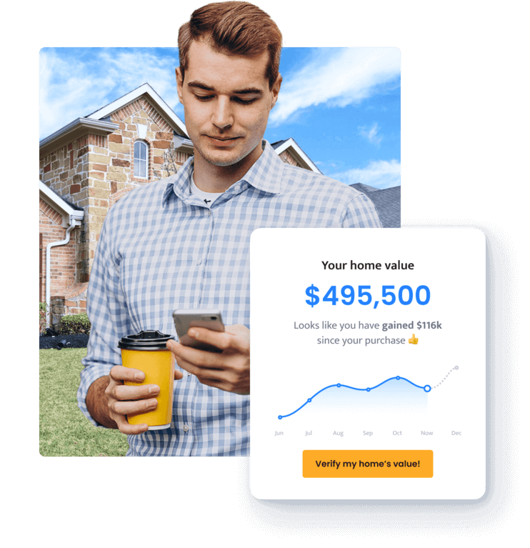 Capture online seller leads
